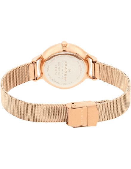Buy Skagen SKW2151 Watch in India I Swiss Time House