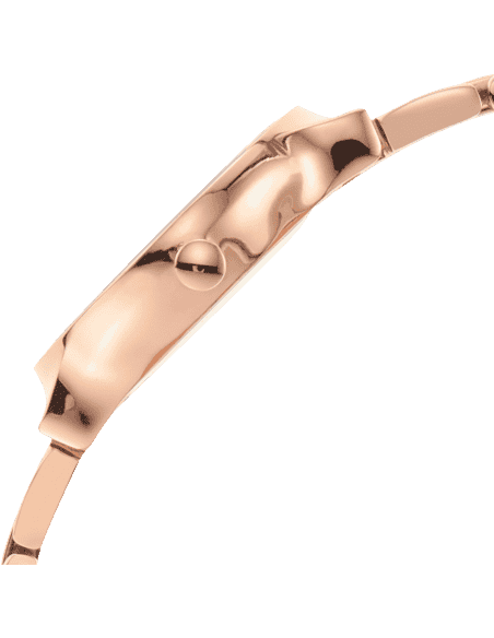 Skagen skw2791 2025