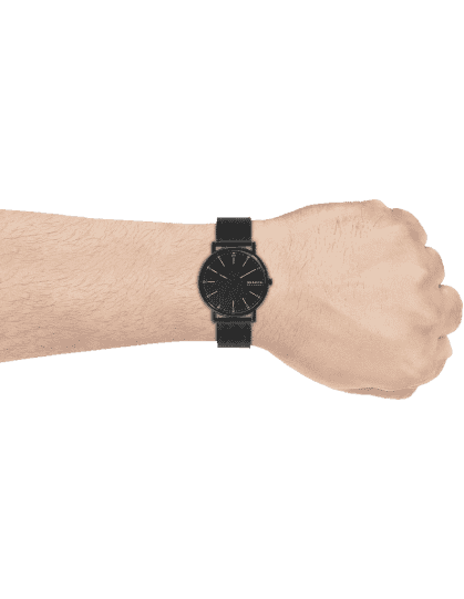 Skagen skw6579 cheap