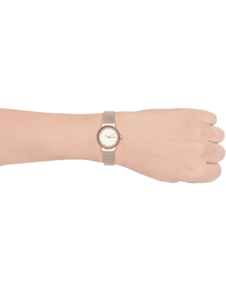 Skagen skw2699 2025