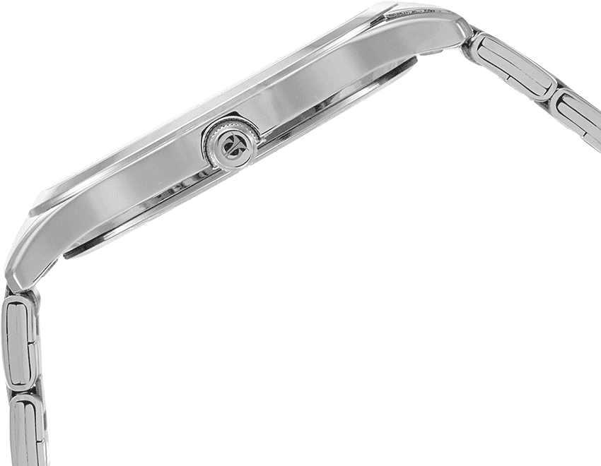 Buy Titan 1770SM02 Watch in India I Swiss Time House