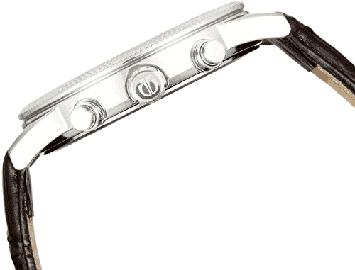 Buy Titan 1734SL01 Watch in India I Swiss Time House