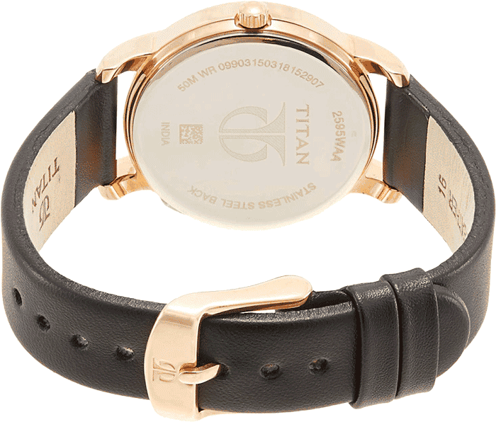 2595wl01 outlet