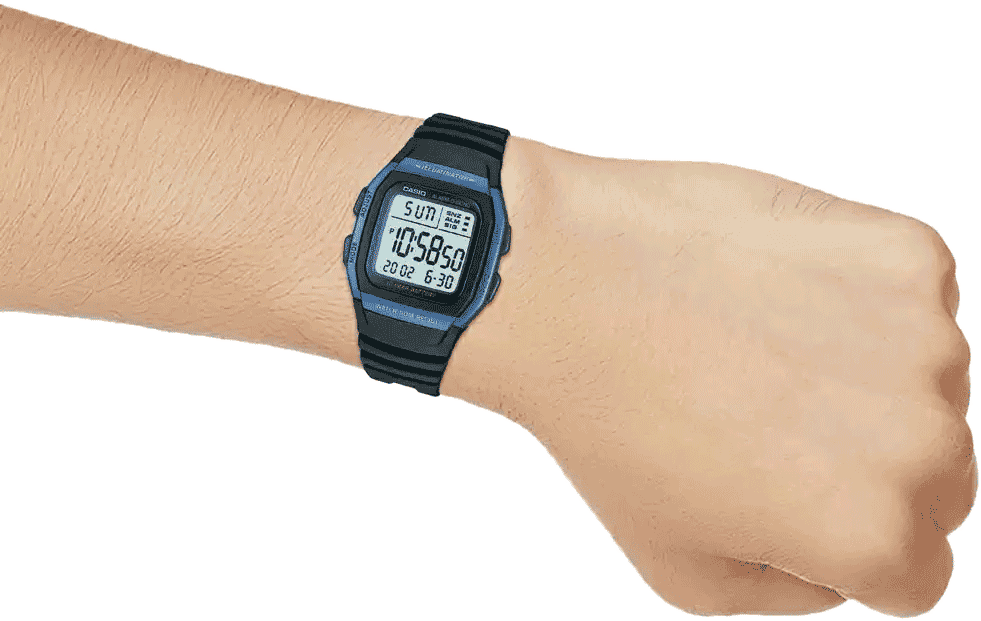 Buy Casio D055 W 96H 2AVDF Youth Watch in India I Swiss Time House