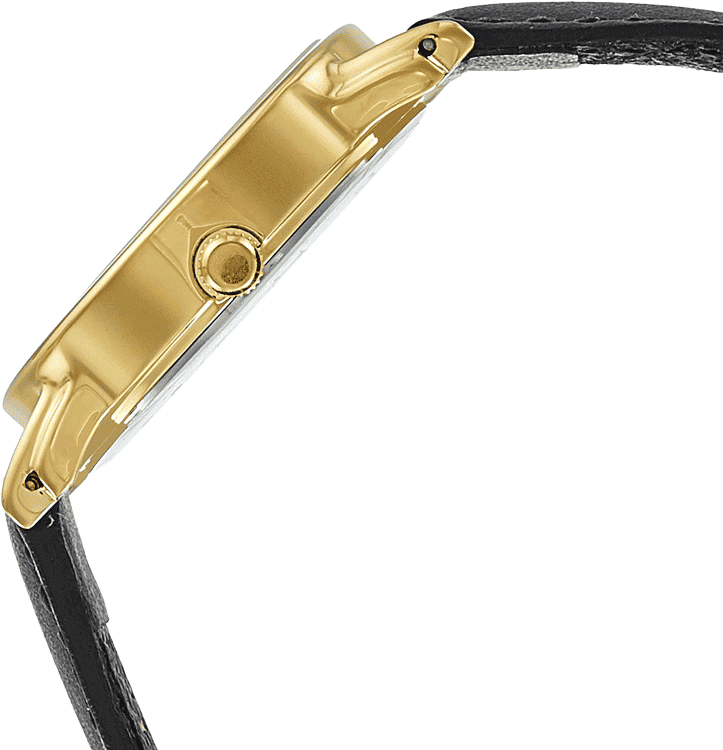 Buy Titan 1445YL04 Watch in India I Swiss Time House
