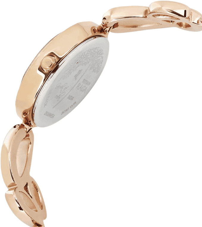 Titan 2539wm01 raga watch cheap