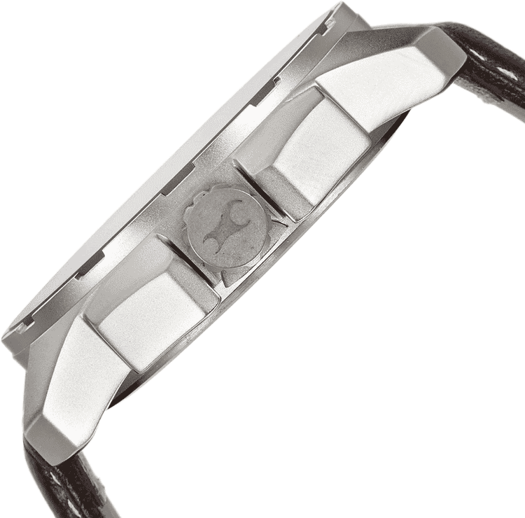 Buy Fastrack 3084SL02 Watch in India I Swiss Time House