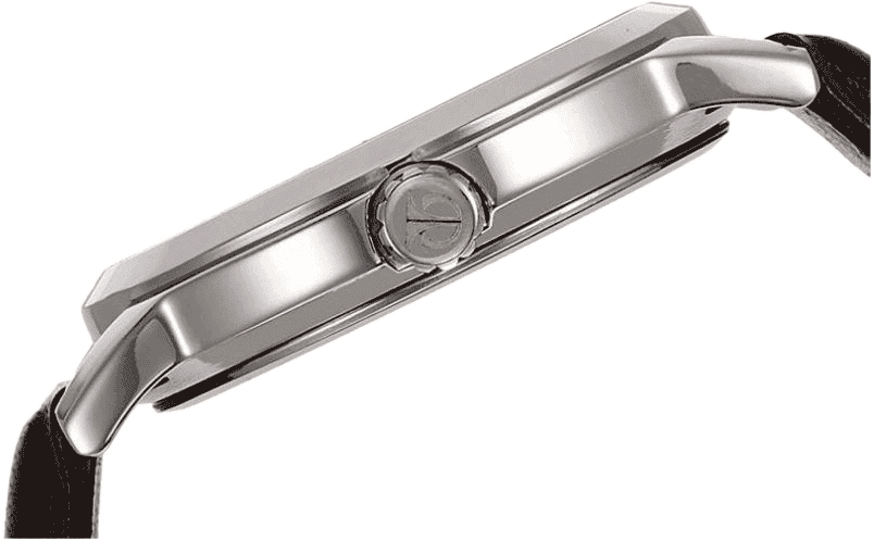 Buy Titan 1730SL03 Watch in India I Swiss Time House