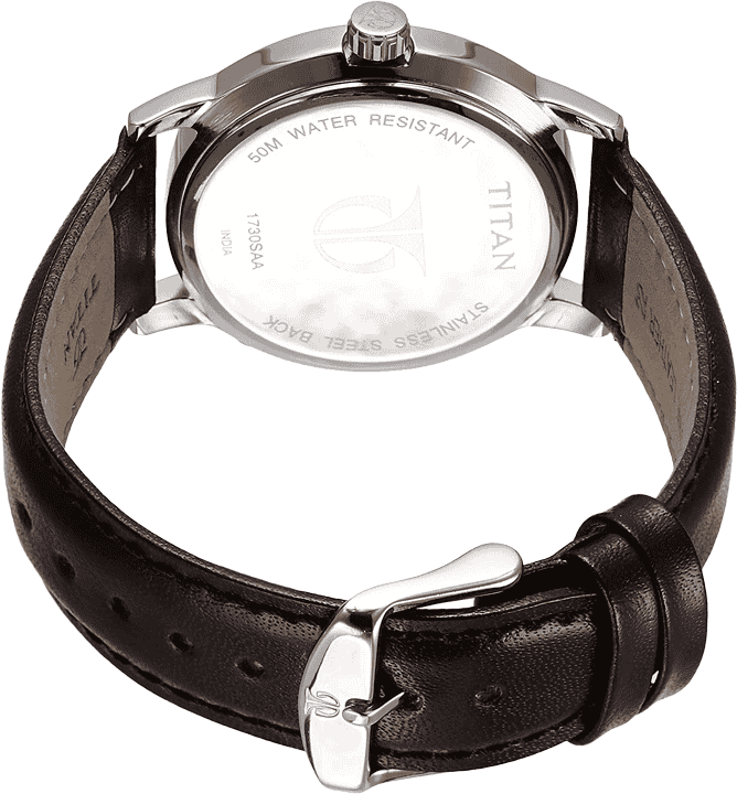Buy Titan 1730SL03 Watch in India I Swiss Time House