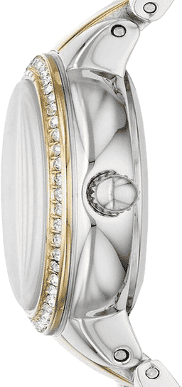 Fossil es3503 online