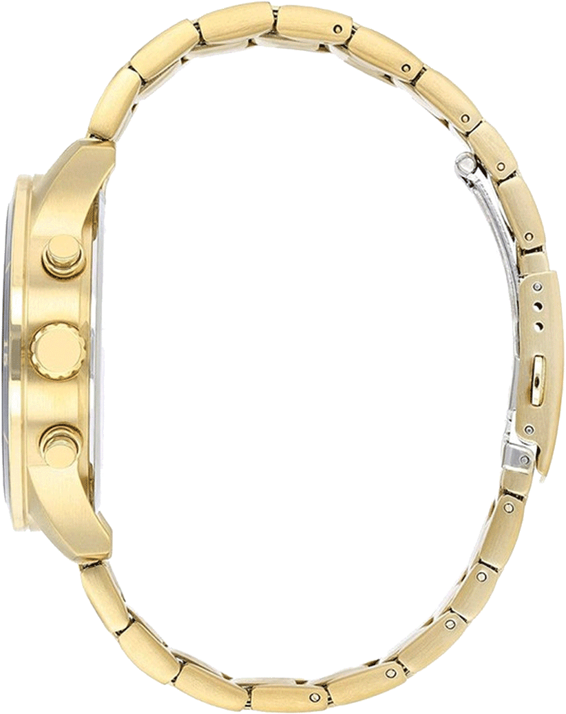 Buy Citizen AN8169-58L Watch in India I Swiss Time House