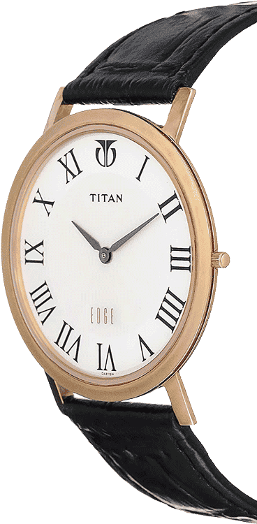 Titan 1595wl01 sales