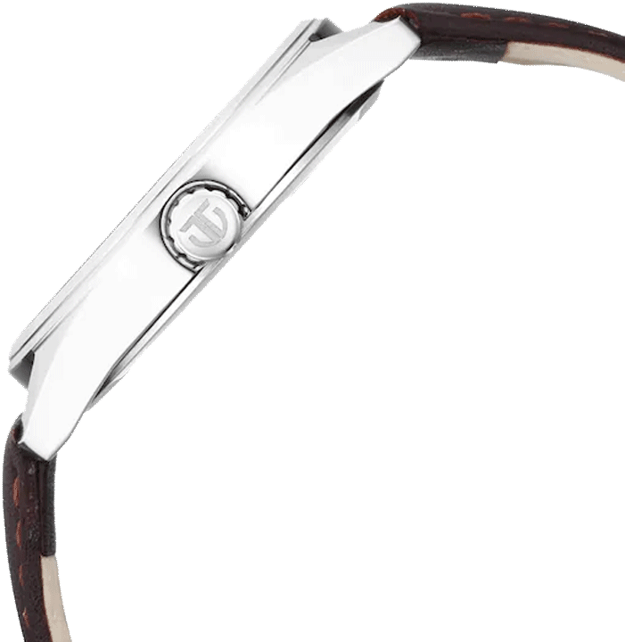 Buy Titan 1866SL02 Watch in India I Swiss Time House