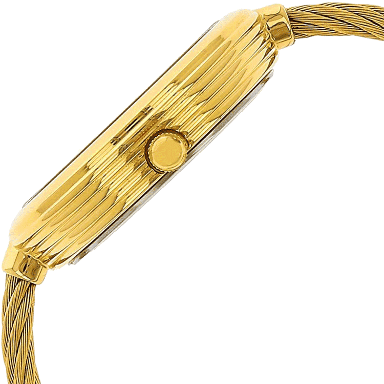 Buy Titan 2532YM01 Watch in India I Swiss Time House