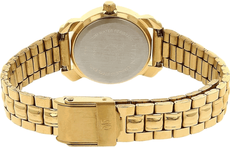 Buy Titan 2534YM01 Watch in India I Swiss Time House