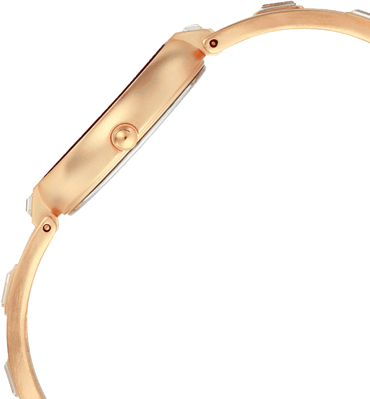 Buy Titan 2581WM02 Watch in India I Swiss Time House