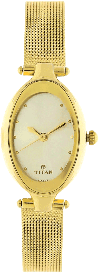 Buy Titan 2471YM02 Watch in India I Swiss Time House