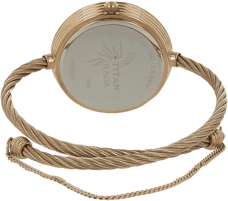 Buy Titan 2532WM01 Watch in India I Swiss Time House