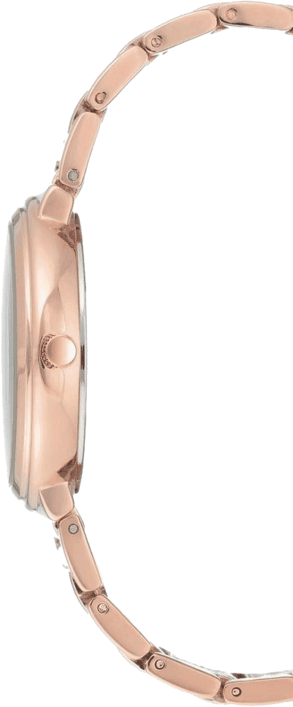 Buy Anne Klein AK3168RGRG Watch in India I Swiss Time House