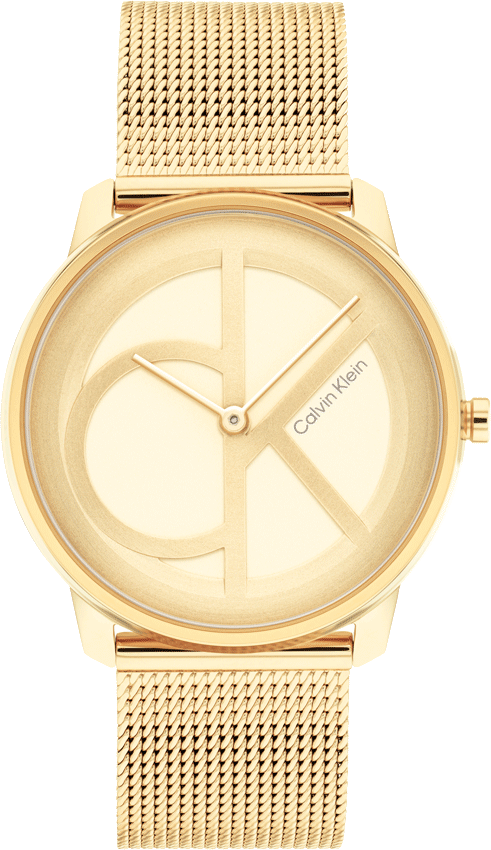 Buy Calvin Klein 25200034 Watch in India I Swiss Time House
