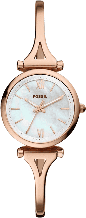 Es4500 fossil outlet