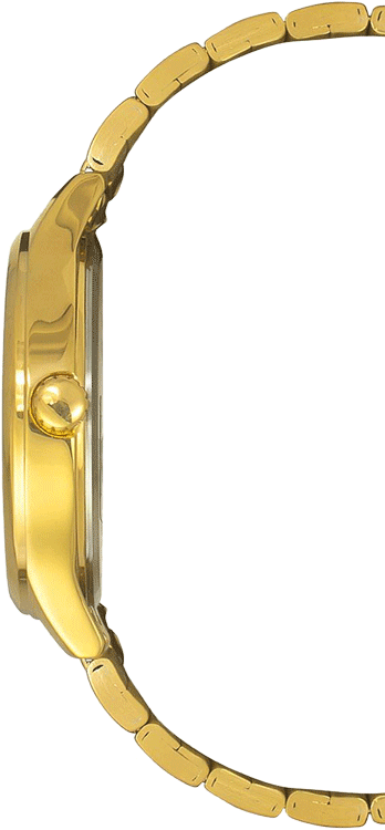 Buy Timex TWEG18415 Watch in India I Swiss Time House