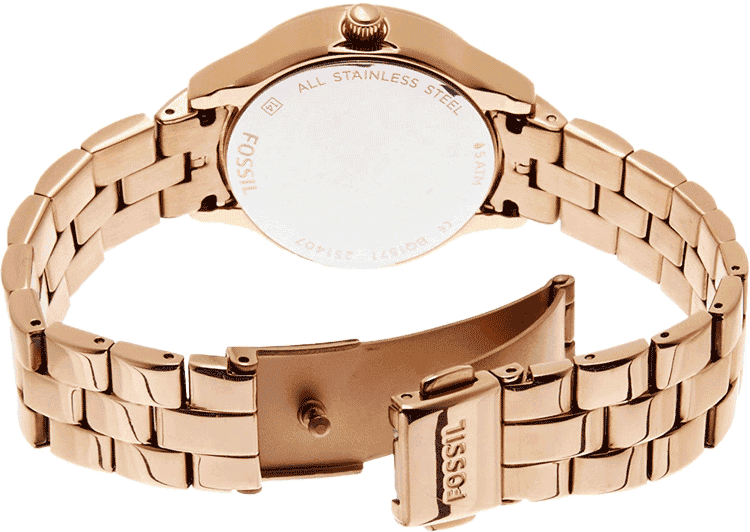 Bq1571 fossil new arrivals
