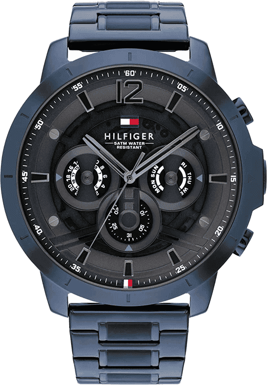 Buy Tommy Hilfiger TH1710493 Watch in India I Swiss Time House