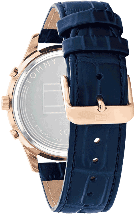 Buy Tommy Hilfiger TH1710503 Watch in India I Swiss Time House