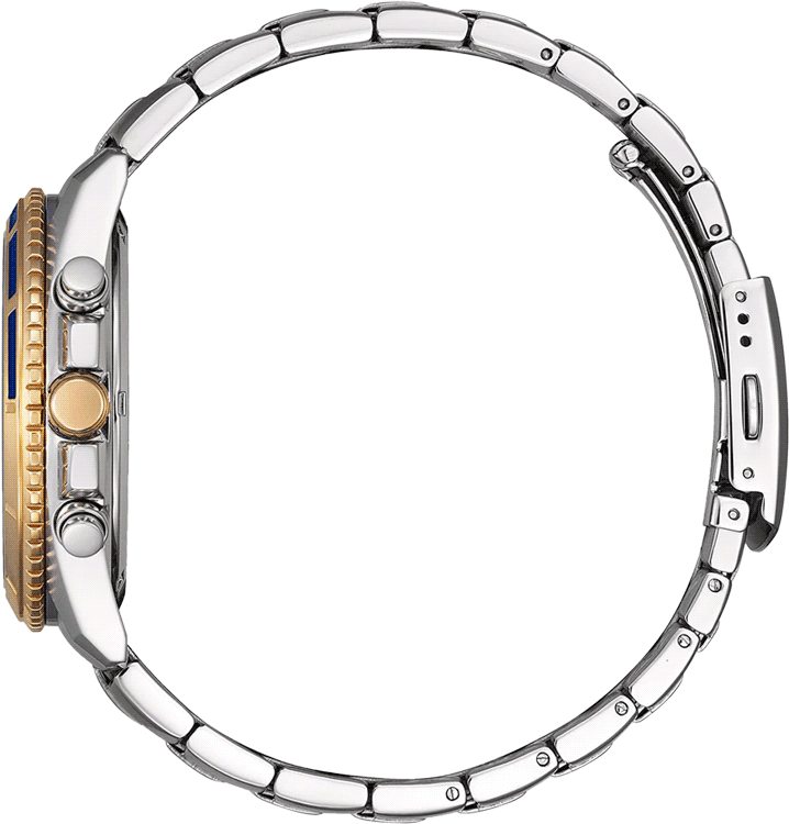 Buy Citizen AN8206-53L Watch in India I Swiss Time House