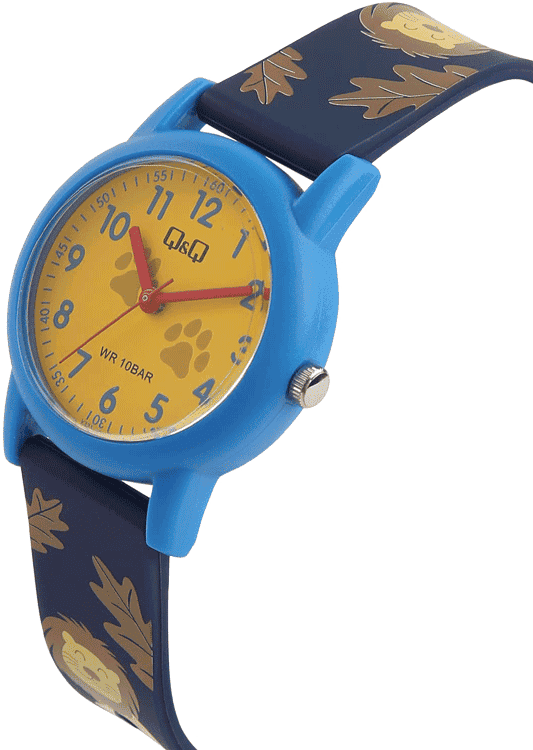 Buy Q Q V23A 004VY Watch in India I Swiss Time House