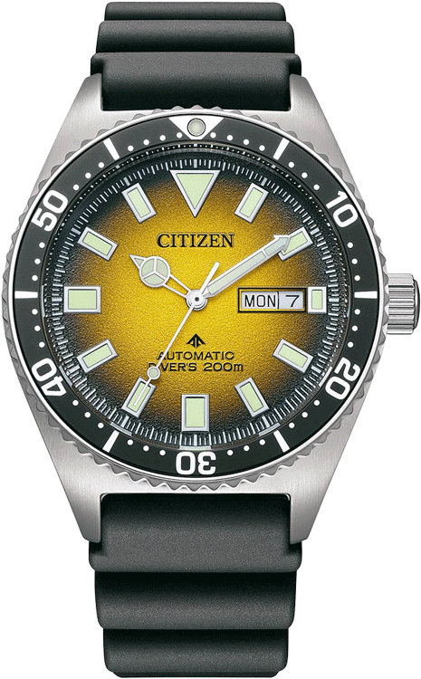 Buy Citizen NY0120-01X Watch in India I Swiss Time House