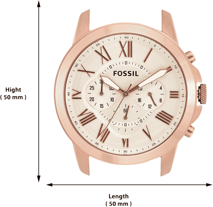 Fs4991 fossil new arrivals