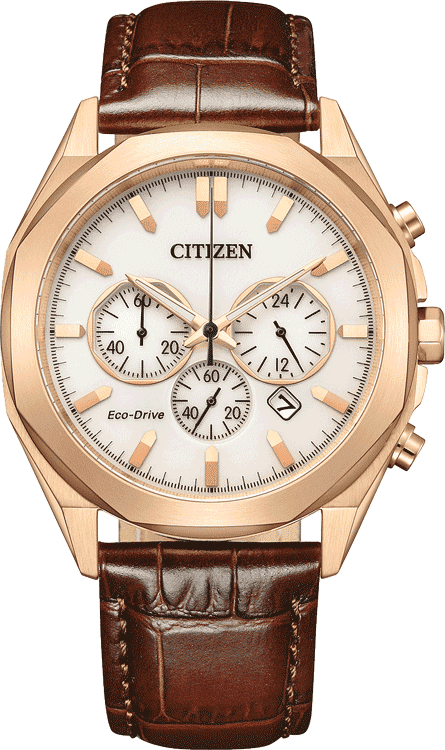 Buy Citizen CA4593-15A Watch in India I Swiss Time House