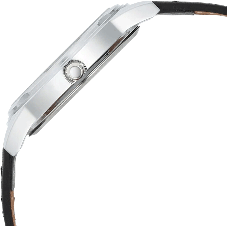 Buy Titan 1638SL02 Watch in India I Swiss Time House