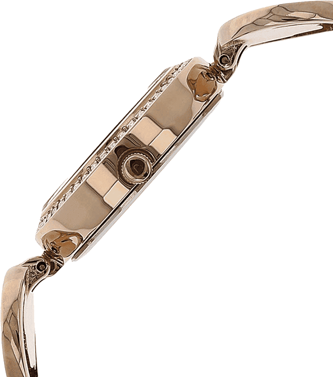 Buy Titan 2539KM01 Watch in India I Swiss Time House