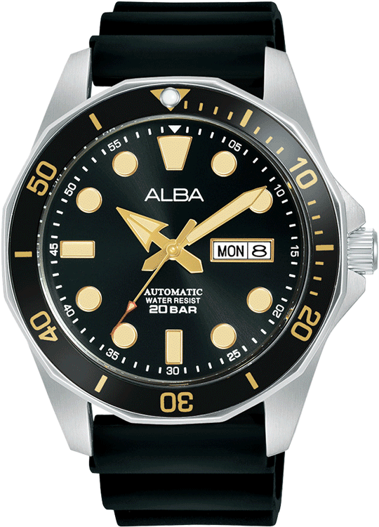 Buy Alba AL4553X1 Watch in India I Swiss Time House
