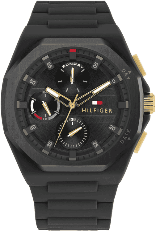 Buy Tommy Hilfiger TH1792120 Watch in India I Swiss Time House