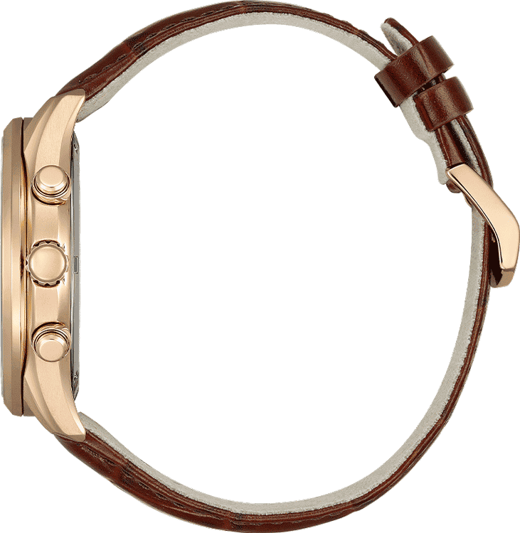 Buy Citizen AT2573-07X Watch in India I Swiss Time House