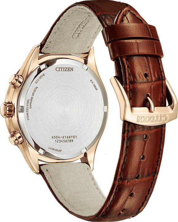 Buy Citizen AT2573-07X Watch in India I Swiss Time House