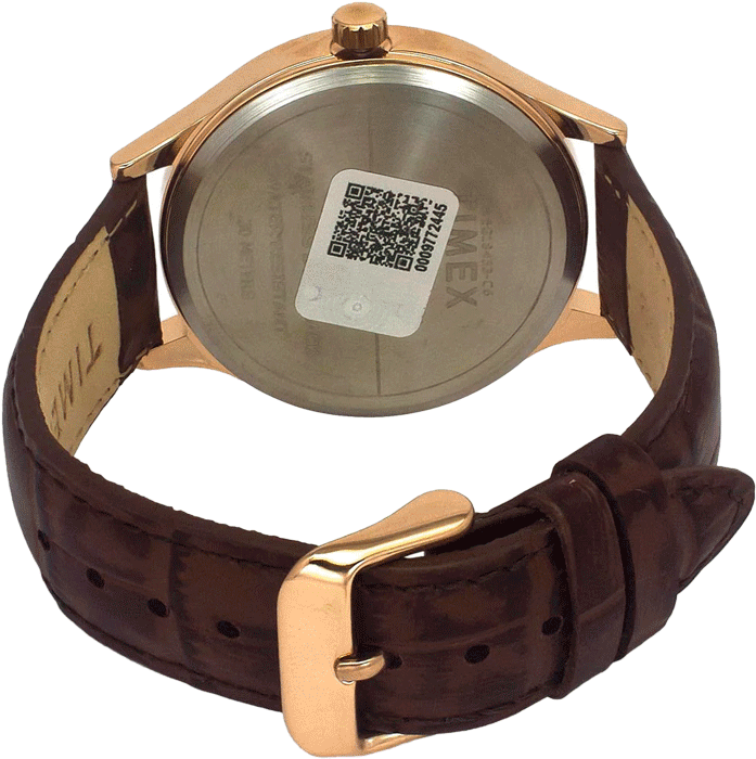 Buy Timex TWEG18433 Watch in India I Swiss Time House