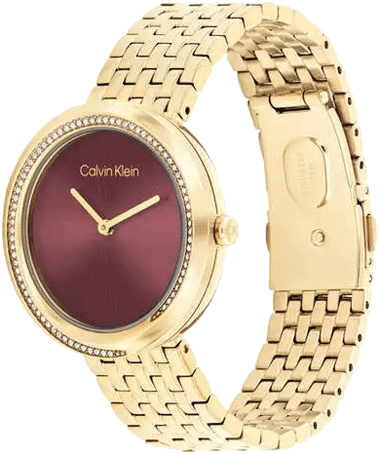 Buy Calvin Klein 25100069 Watch in India I Swiss Time House