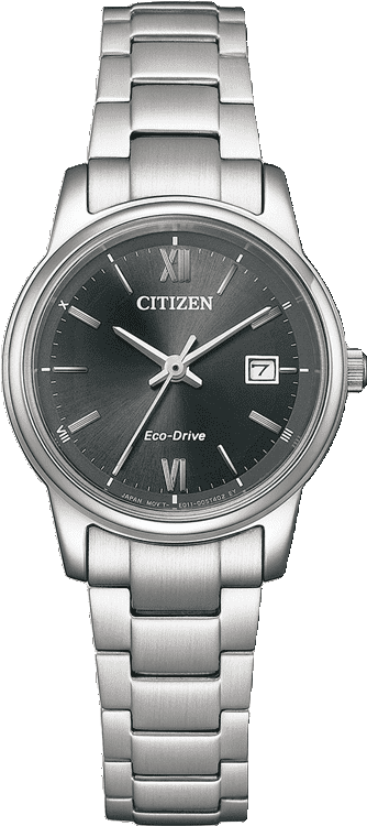 Buy Citizen Citizen EW2318-73E Watch in India I Swiss Time House