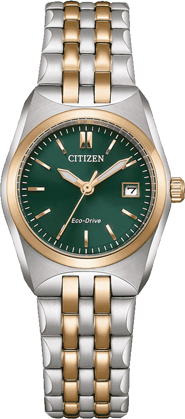 Buy Citizen Citizen EW2297-55X Watch in India I Swiss Time House