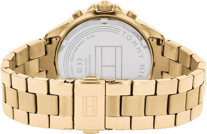 Buy Tommy Hilfiger Tommy Hilfiger TH1782709 Watch in India I Swiss ...