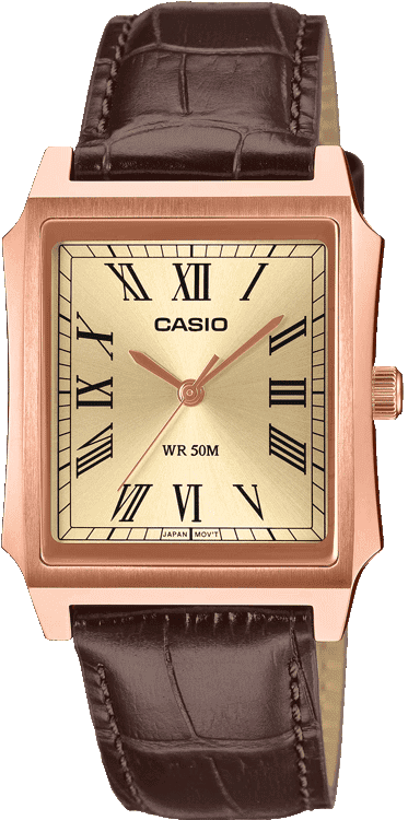 Buy Casio A2549 Watch in India I Swiss Time House