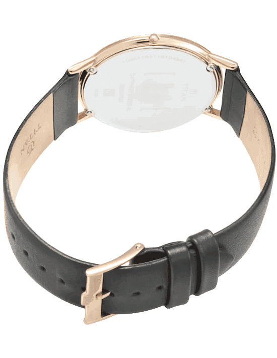 Buy Titan 1595WL09 Watch in India I Swiss Time House