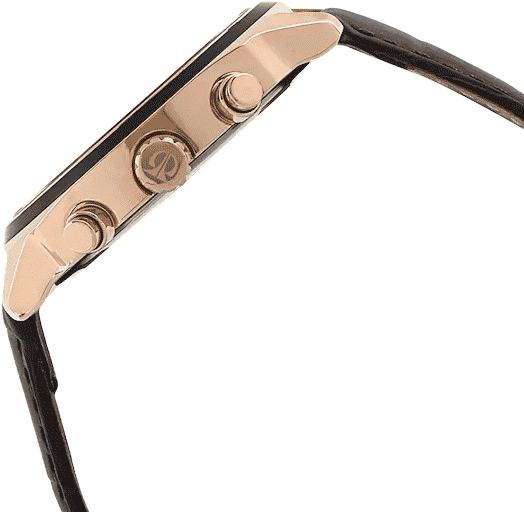 Buy Titan 1733KL03 Watch in India I Swiss Time House