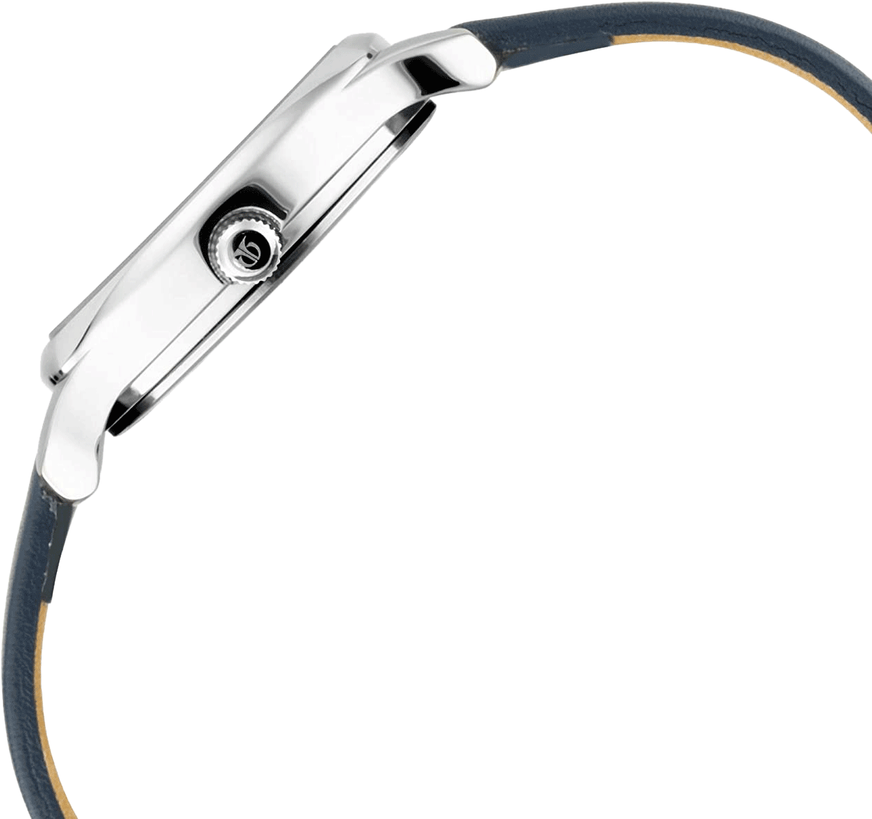 Buy Titan 2481SL10 Watch in India I Swiss Time House