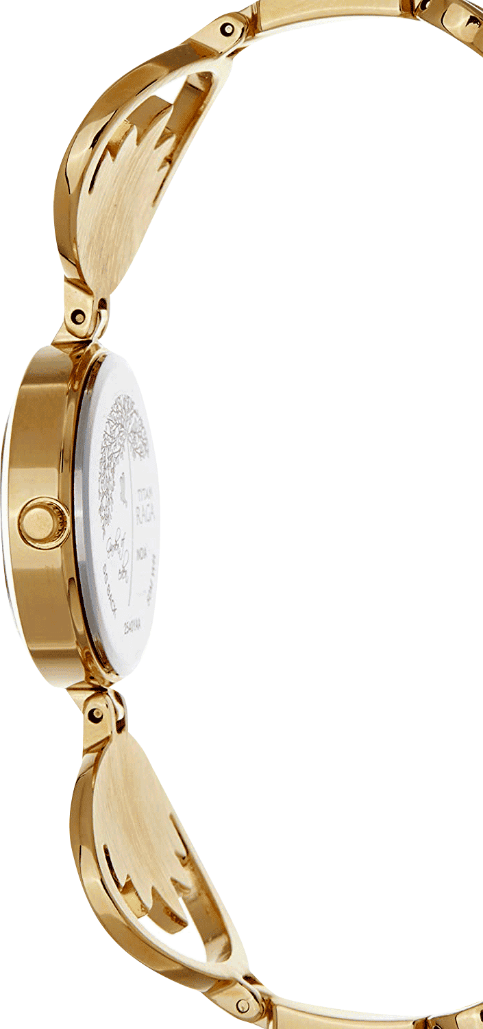 Buy Titan 2540YM01 Watch in India I Swiss Time House